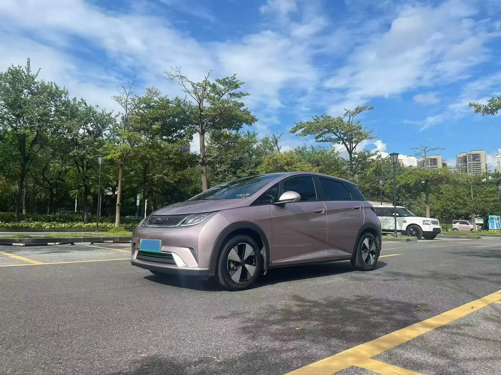 2023 BYD DOLPHIN view 1