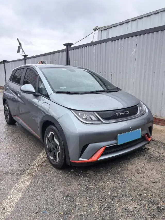 2021 BYD DOLPHIN thumbnail 2