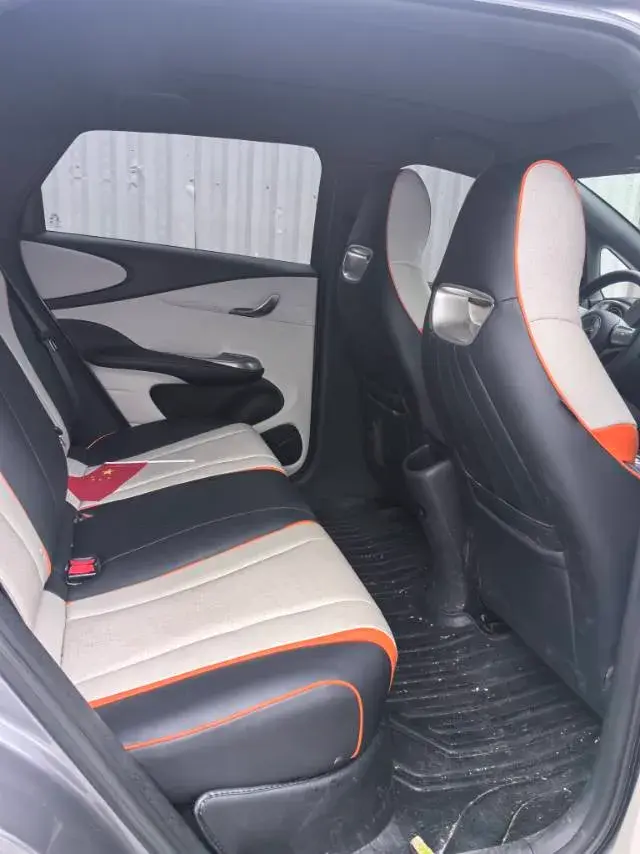 2021 BYD DOLPHIN thumbnail 4