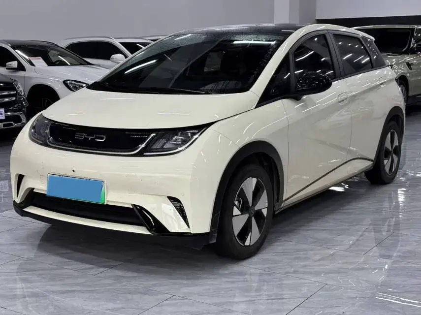 2023 BYD DOLPHIN view 1