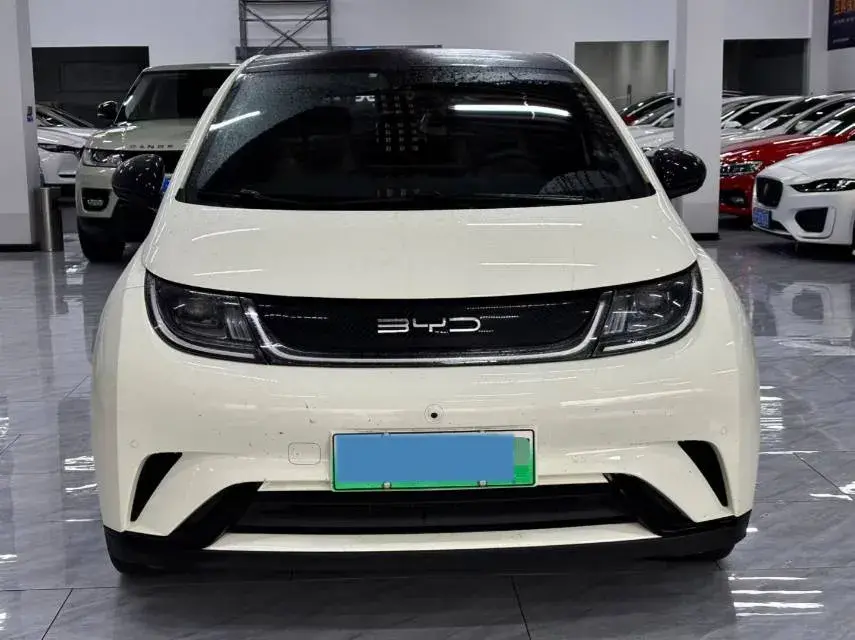 2023 BYD DOLPHIN thumbnail 2