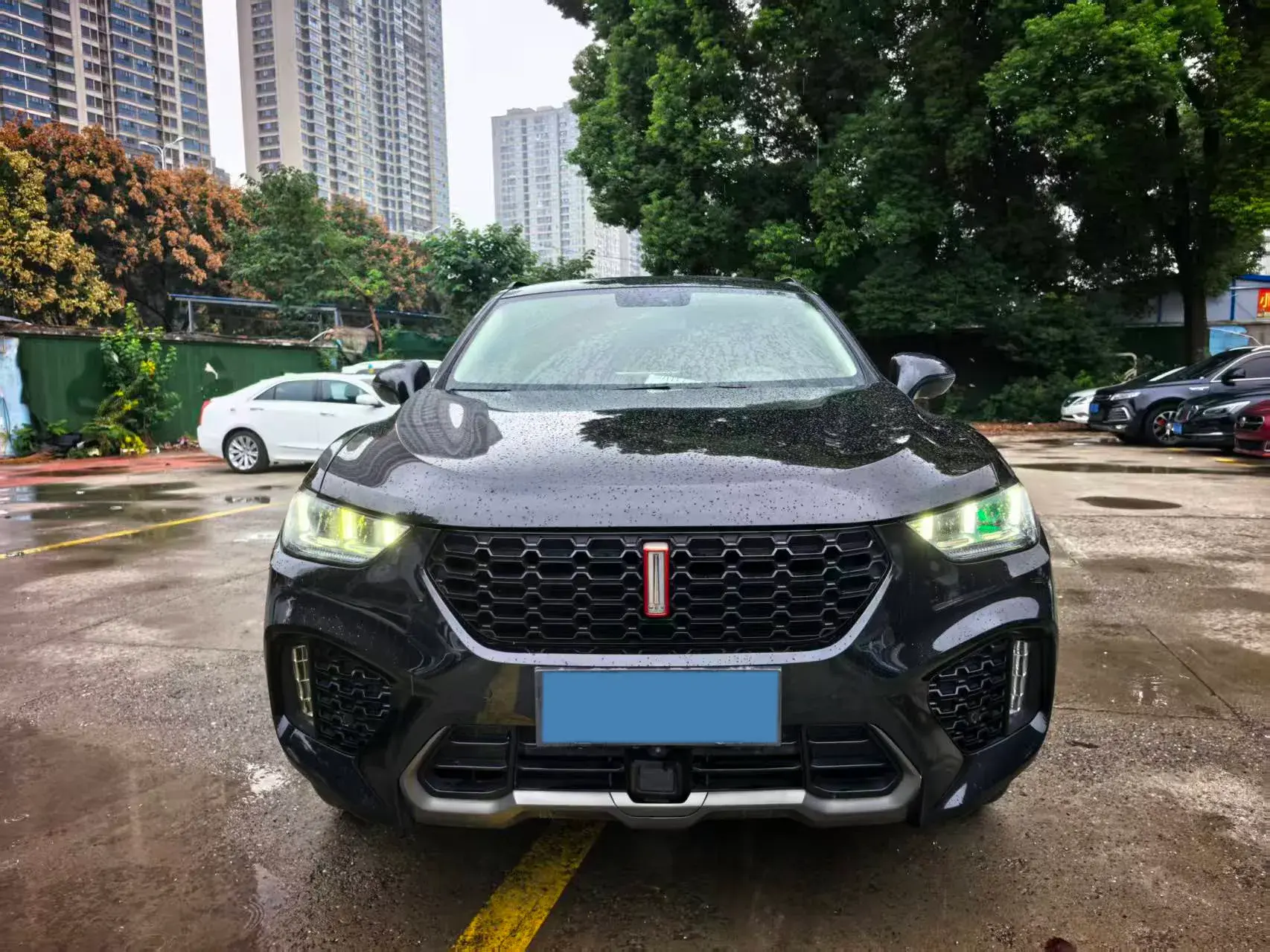 2017 WEY VV5 thumbnail 2