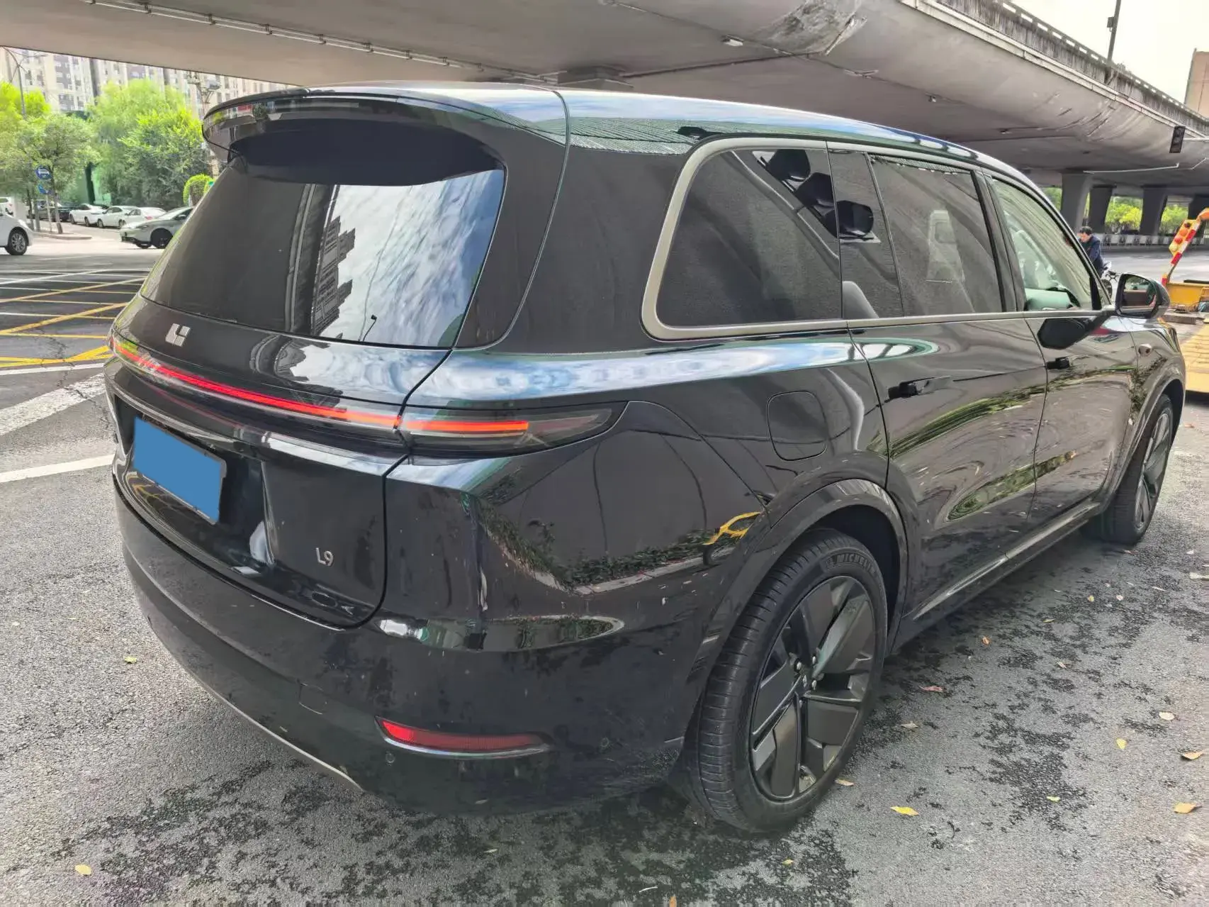 2025 LI L9 thumbnail 3
