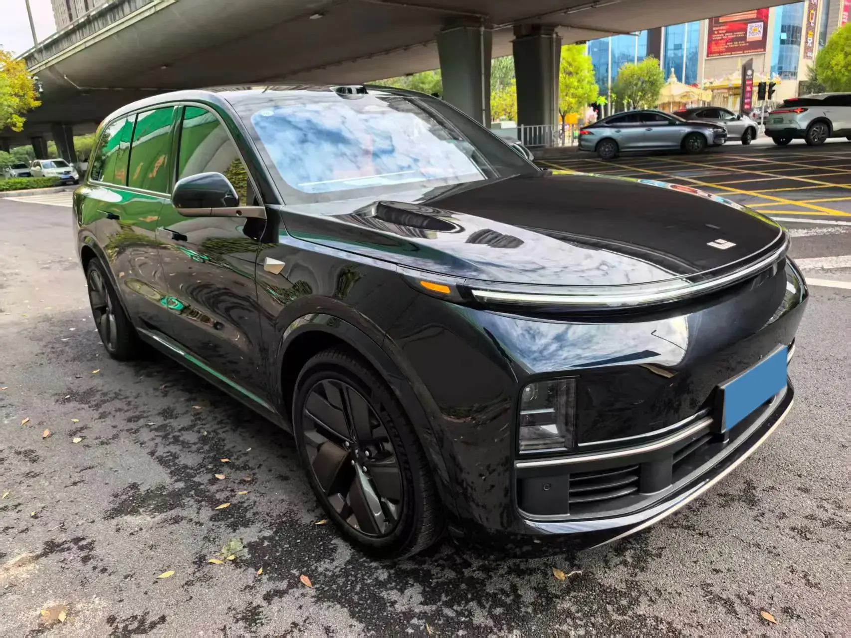 2025 LI L9 thumbnail 2