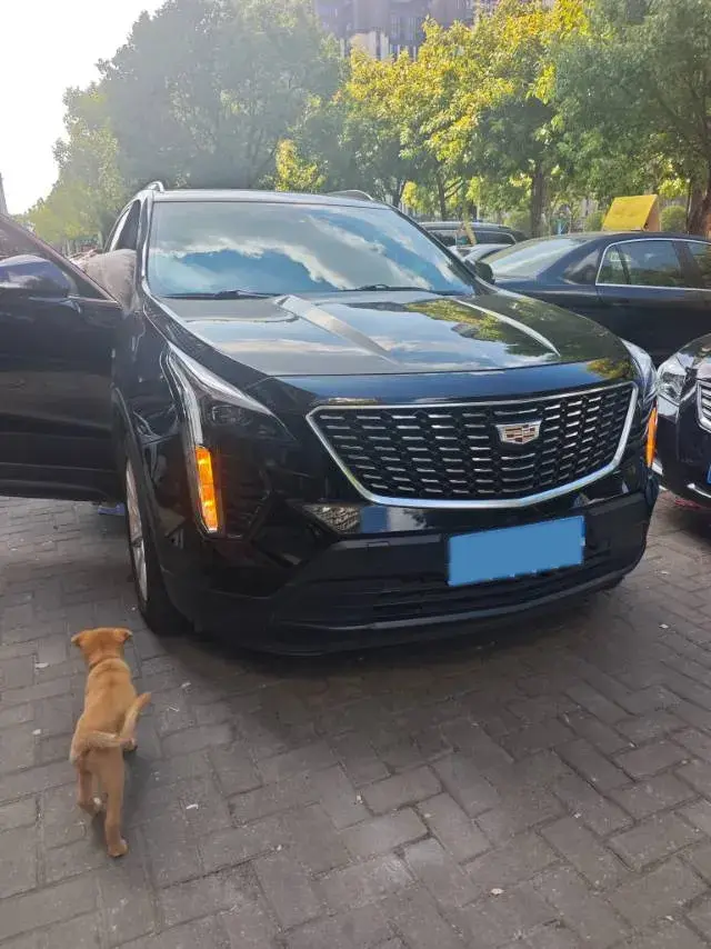 2021 CADILLAC XT4 thumbnail 4