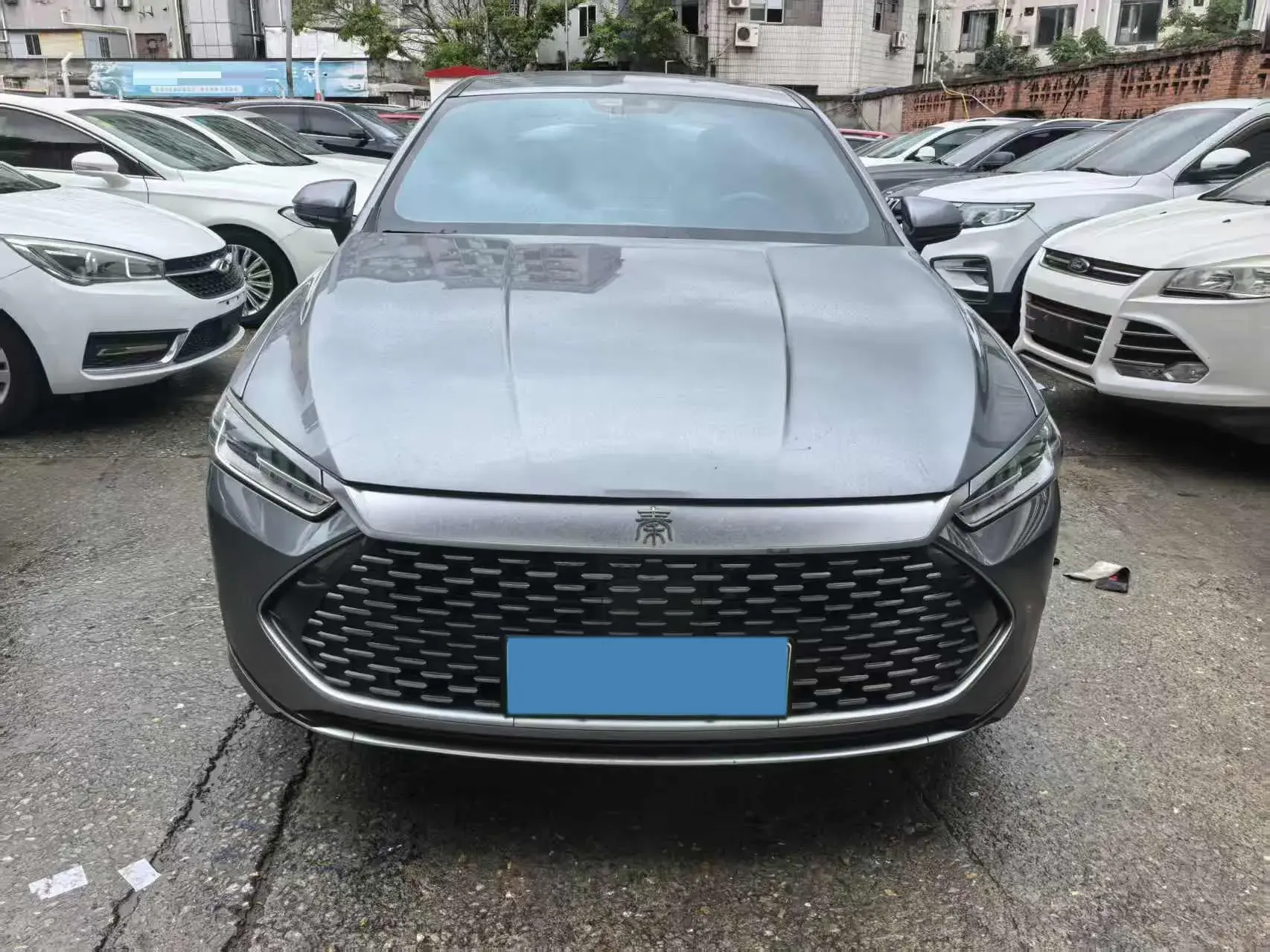 2021 BYD QIN thumbnail 2