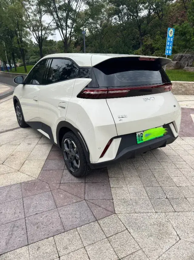 2023 BYD SEAGULL thumbnail 2