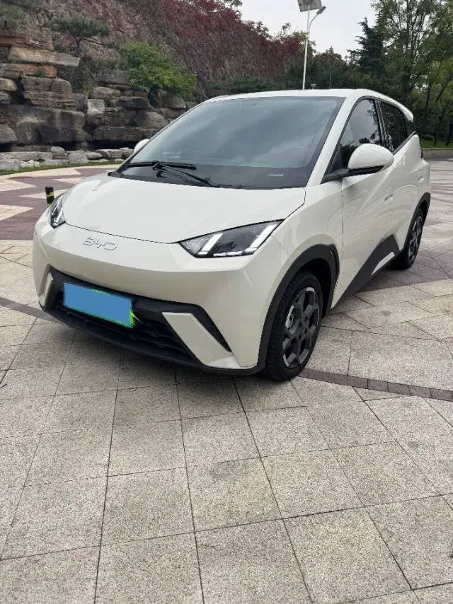 2023 BYD SEAGULL view 1