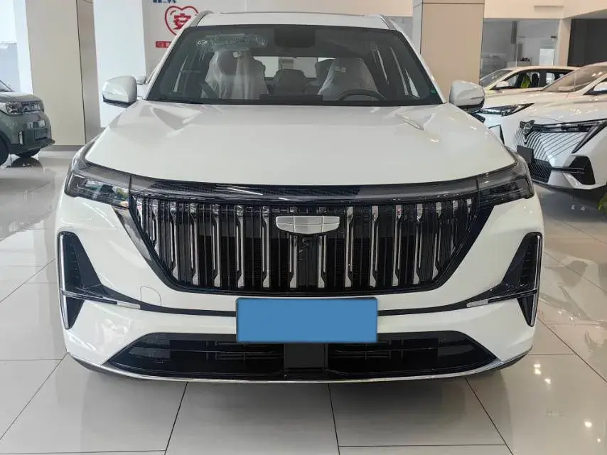 2025 GEELY STARRAY thumbnail 2