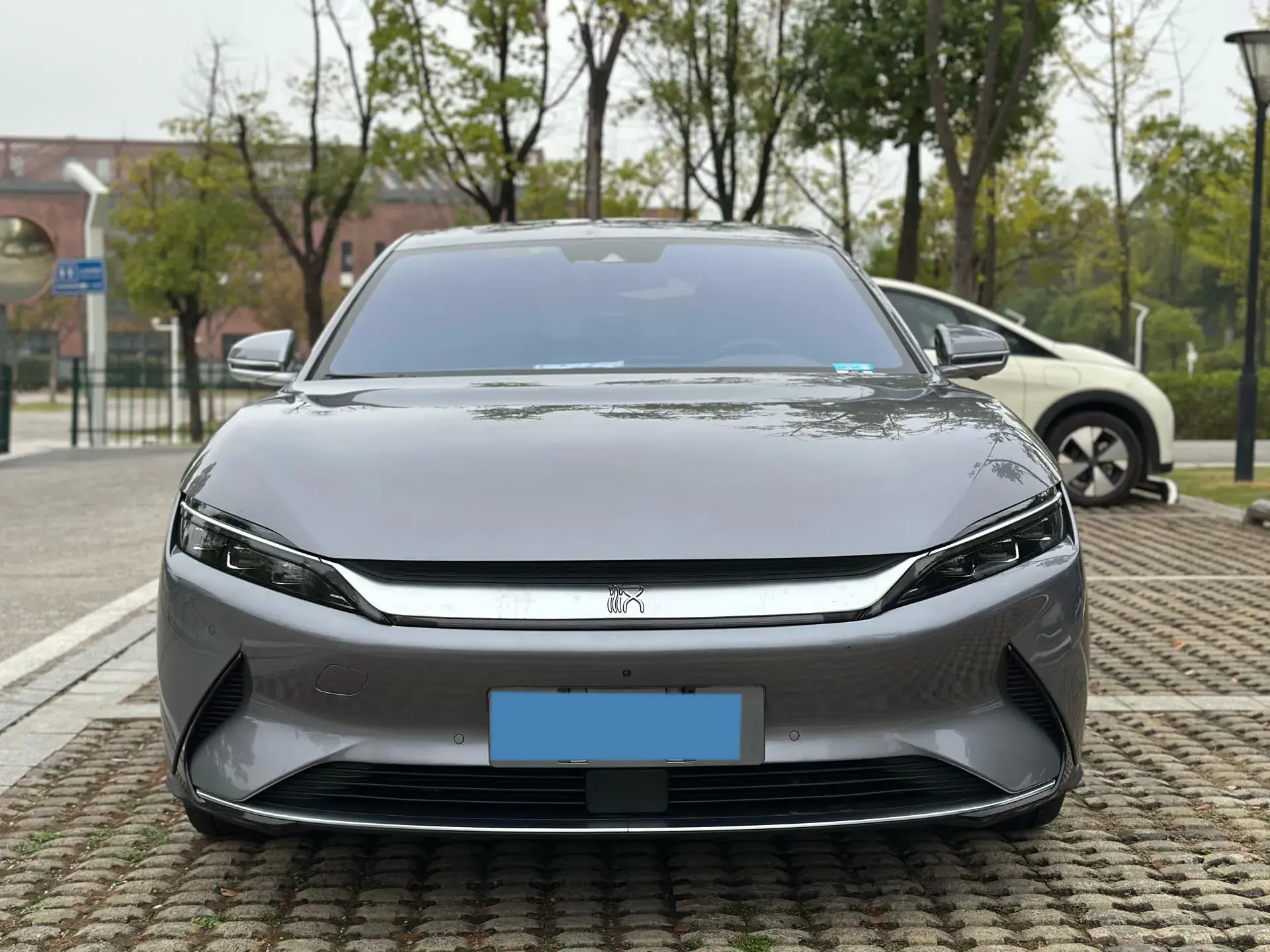 2020 BYD HAN thumbnail 2