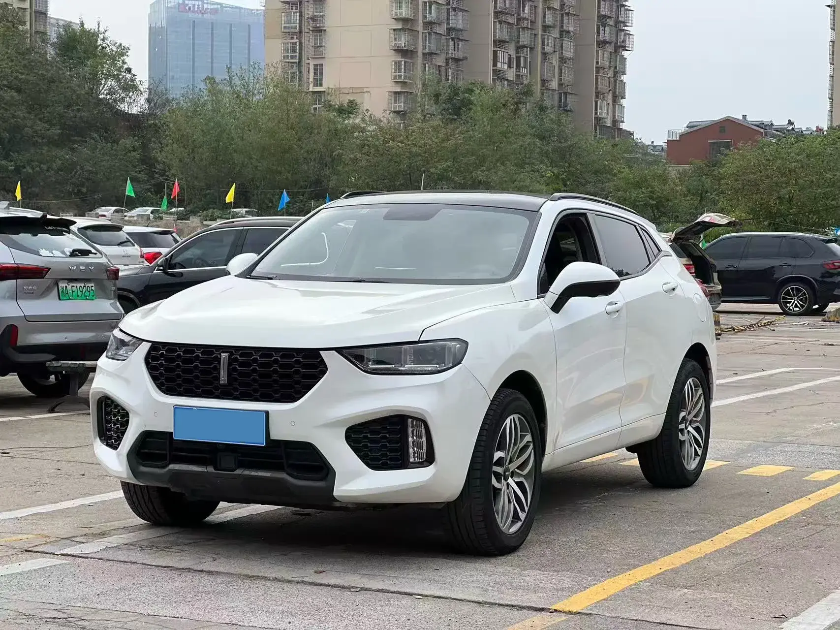 2019 WEY VV5 view 1