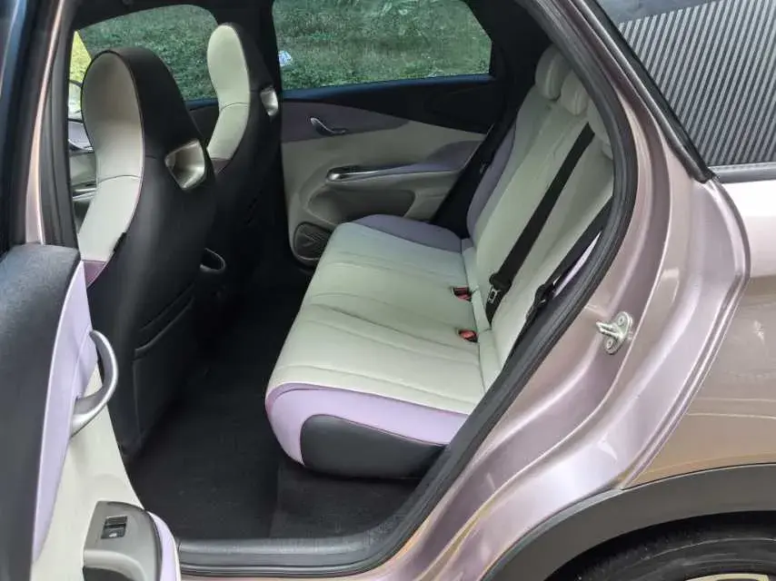 2021 BYD DOLPHIN thumbnail 4