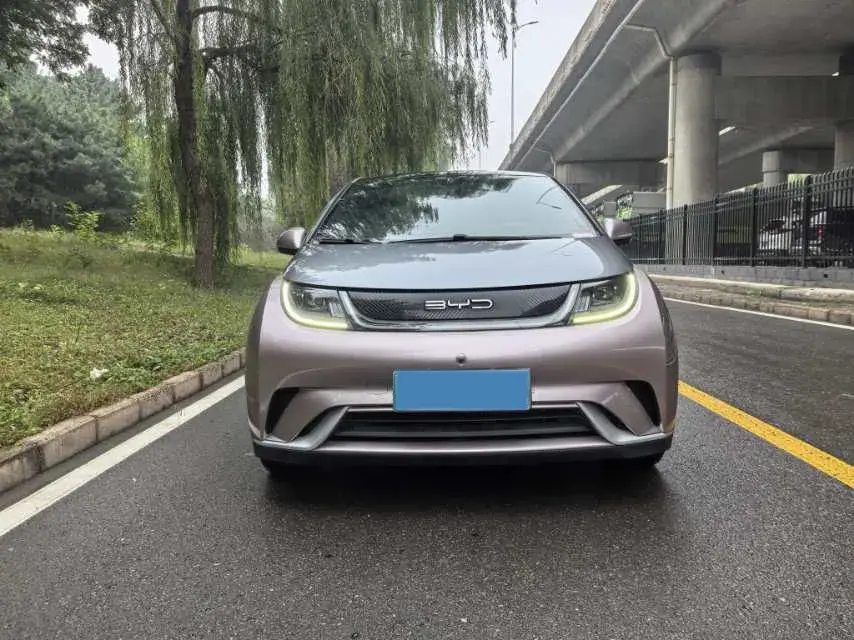 2021 BYD DOLPHIN thumbnail 2