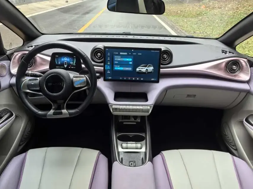 2021 BYD DOLPHIN thumbnail 3