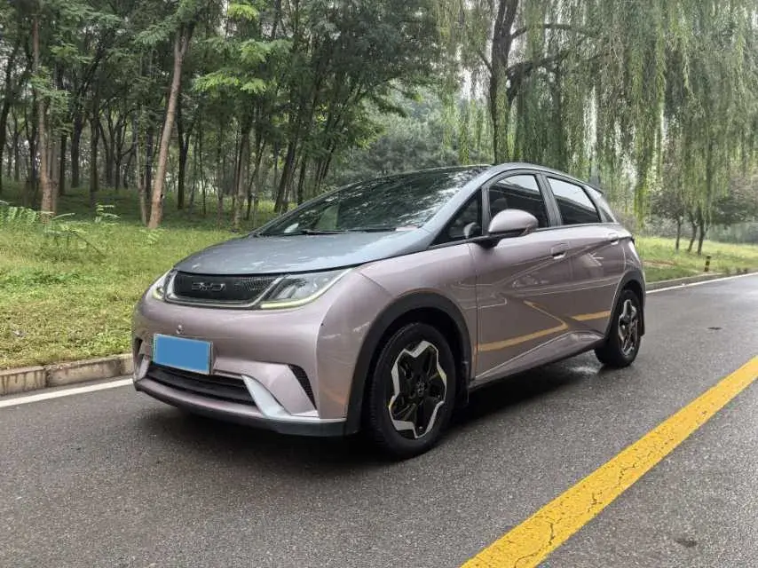 2021 BYD DOLPHIN view 1