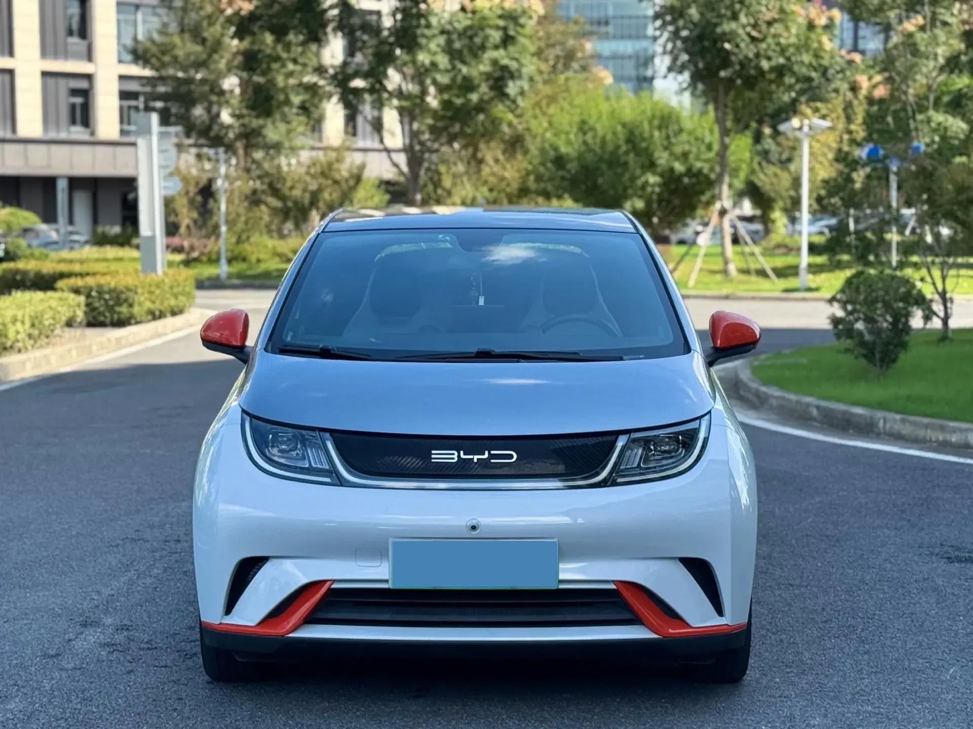 2021 BYD DOLPHIN thumbnail 2