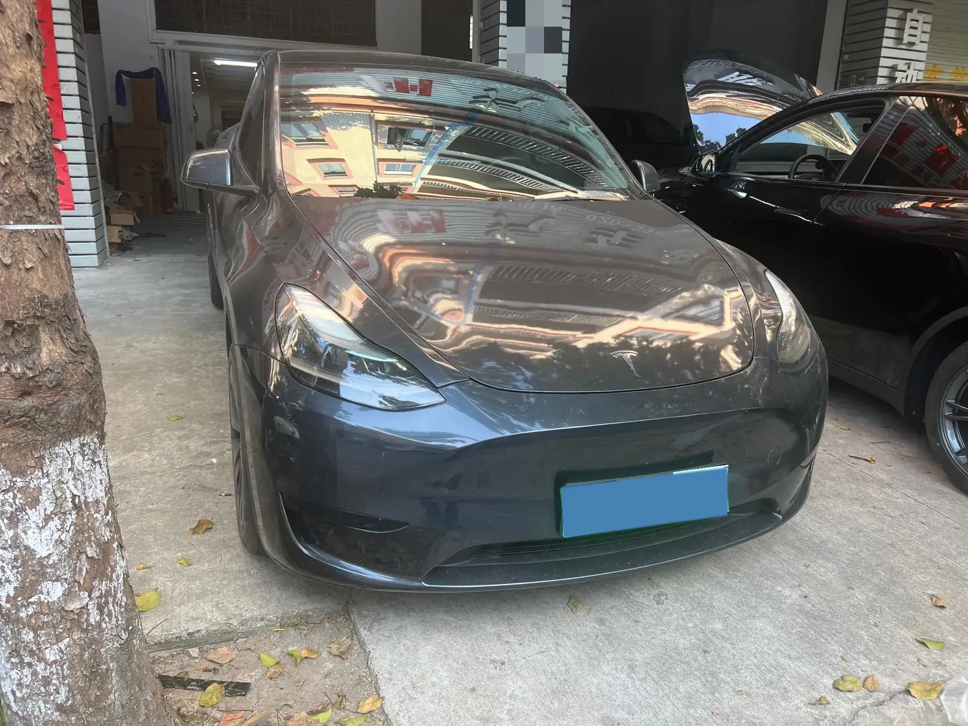 2024 TESLA MODEL thumbnail 2