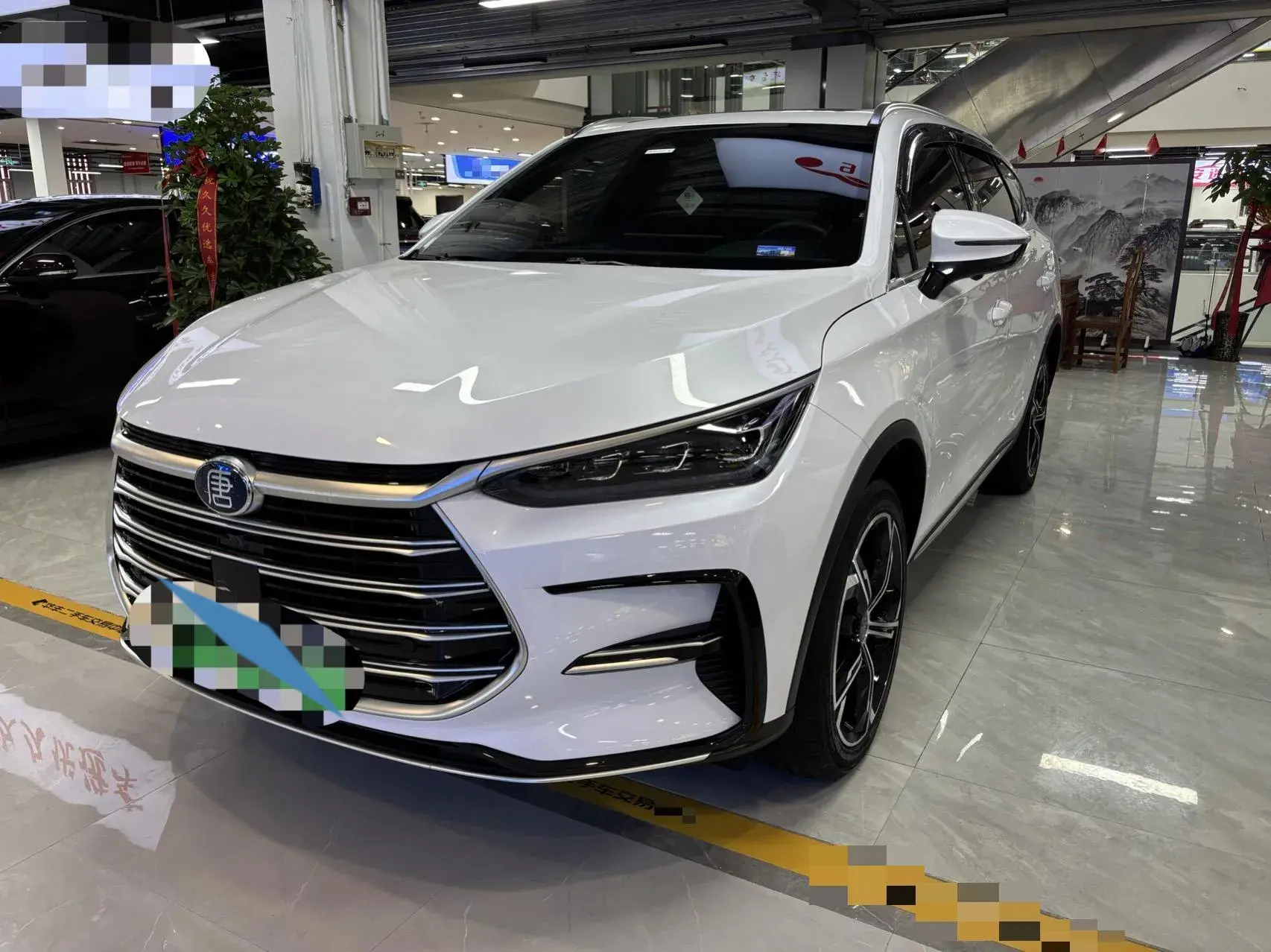 2021 BYD TANG view 1