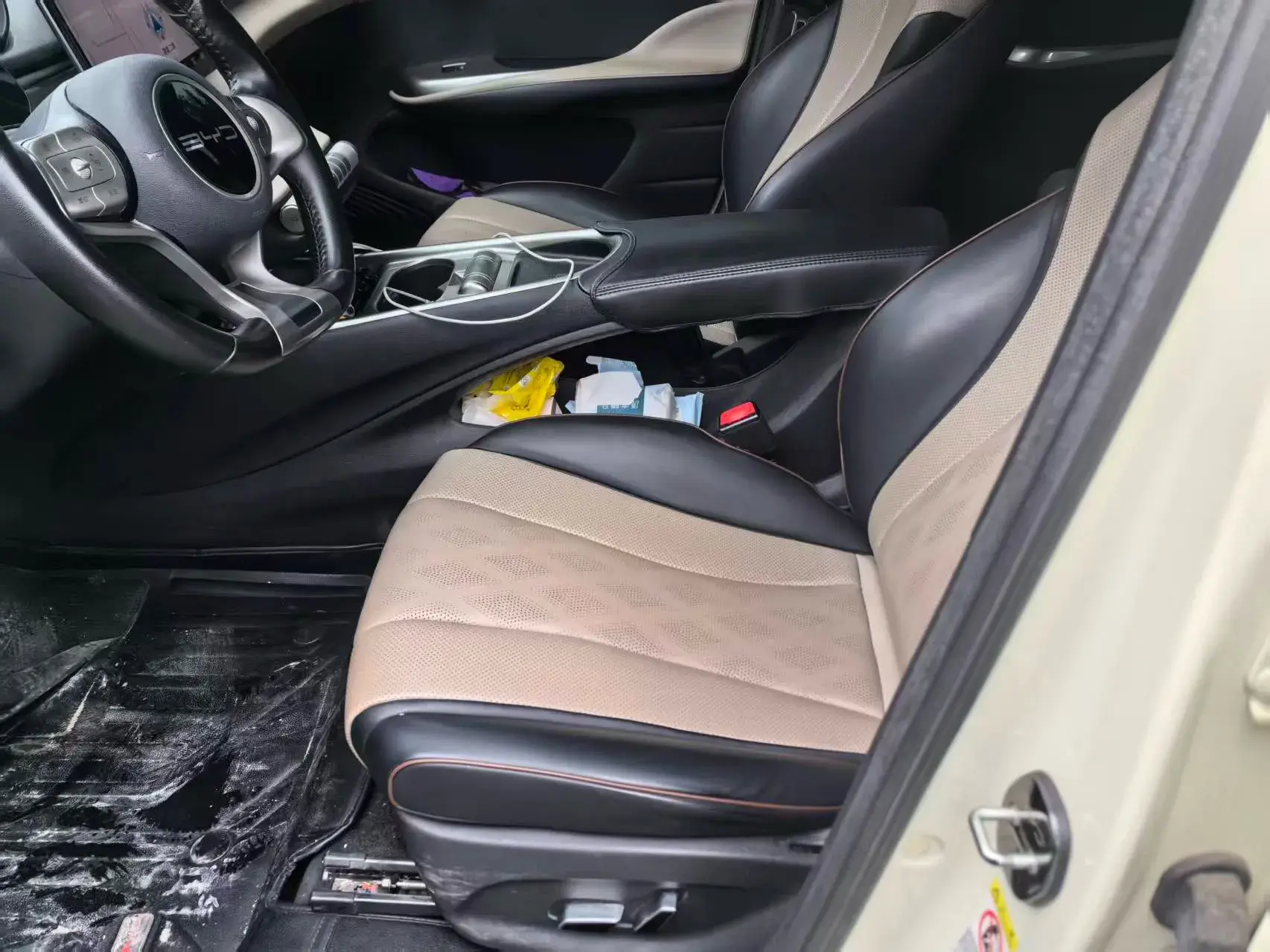 2023 BYD DOLPHIN thumbnail 2