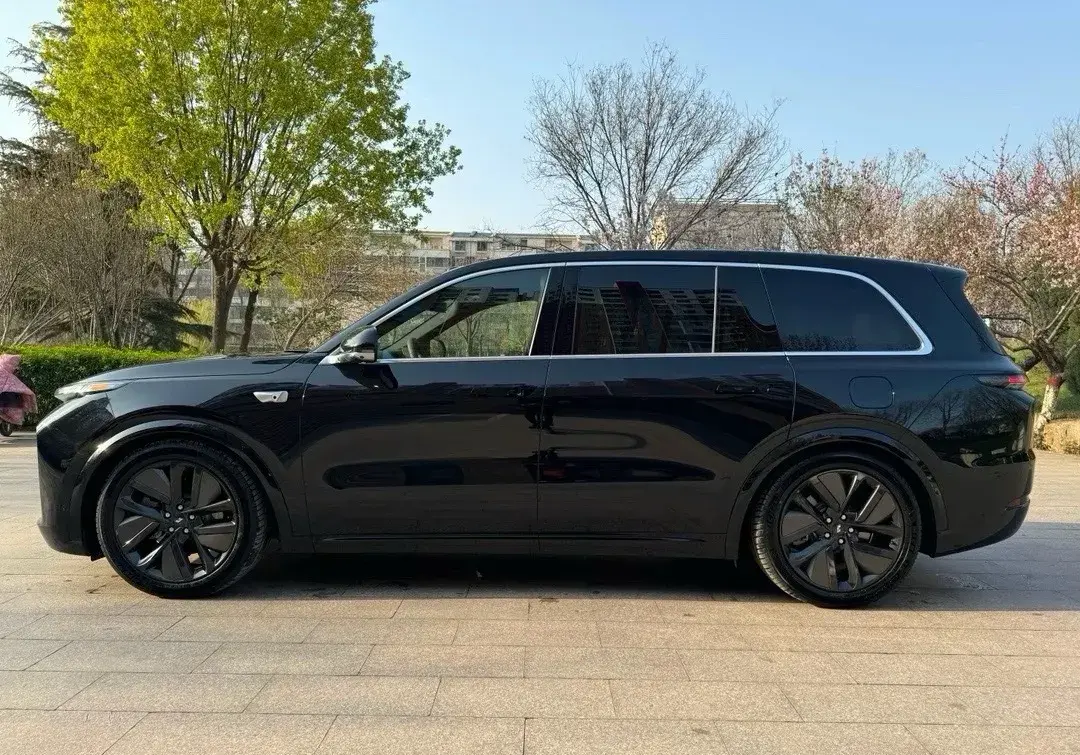 2022 LI L9 thumbnail 4