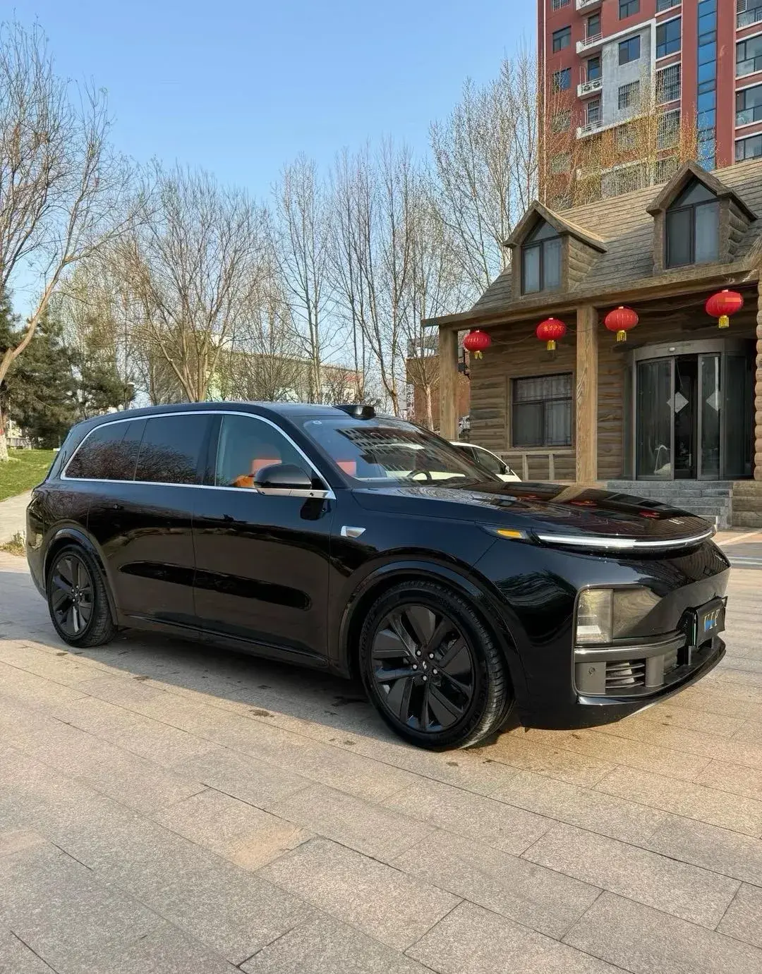 2022 LI L9 thumbnail 3