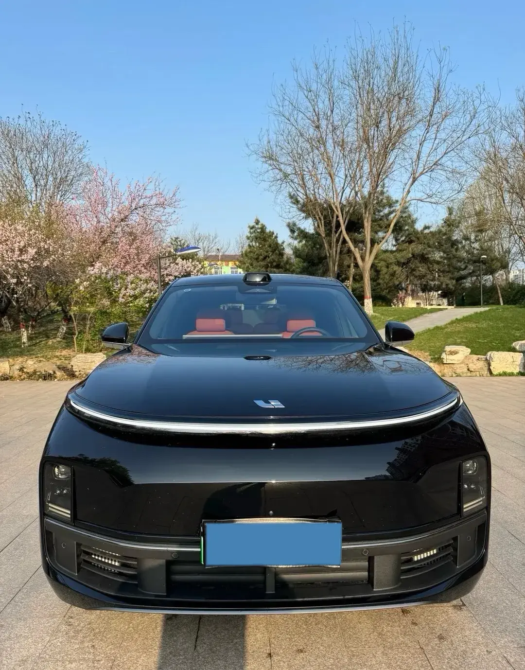 2022 LI L9 thumbnail 2