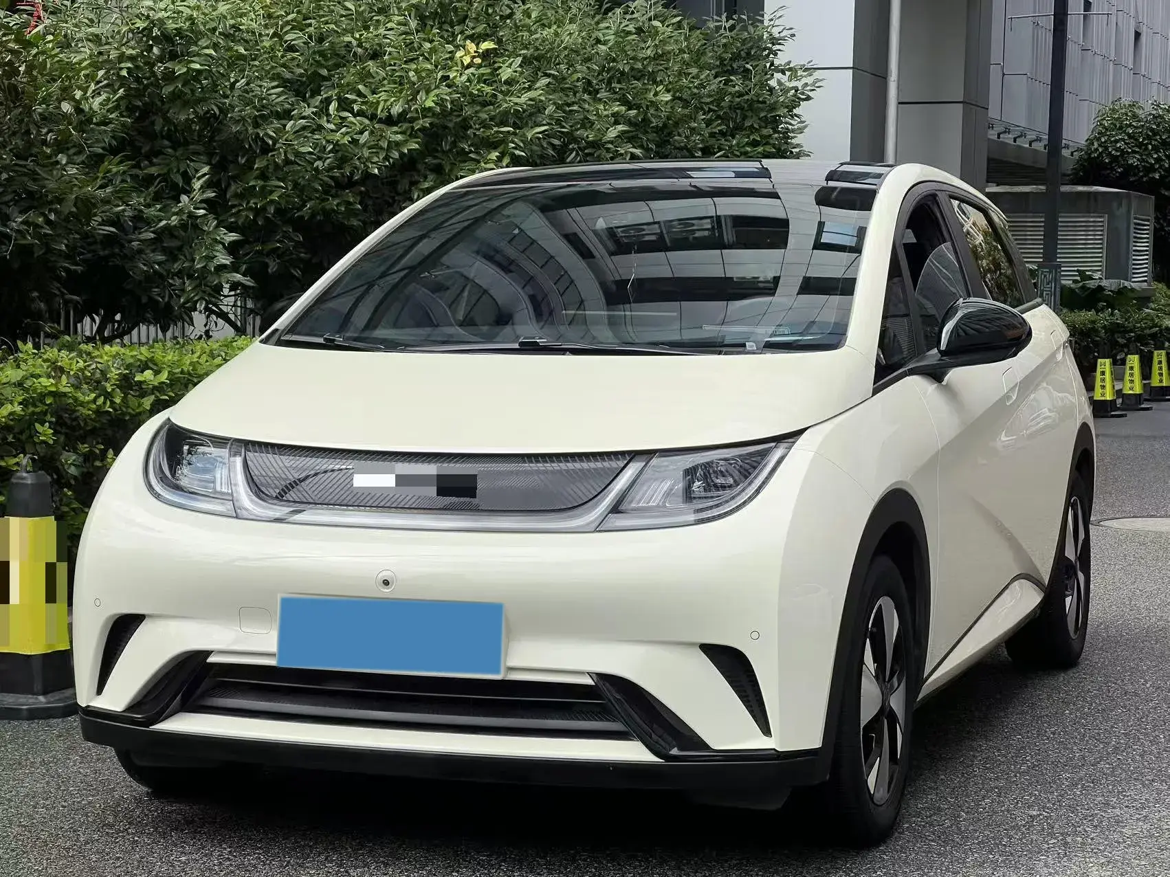 2023 BYD DOLPHIN view 1