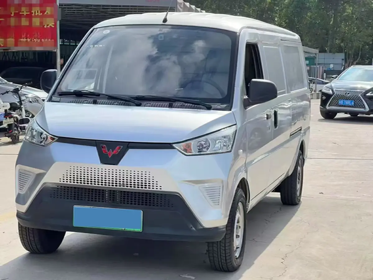 2020 WuLing EV50 BEV 41.86KWH