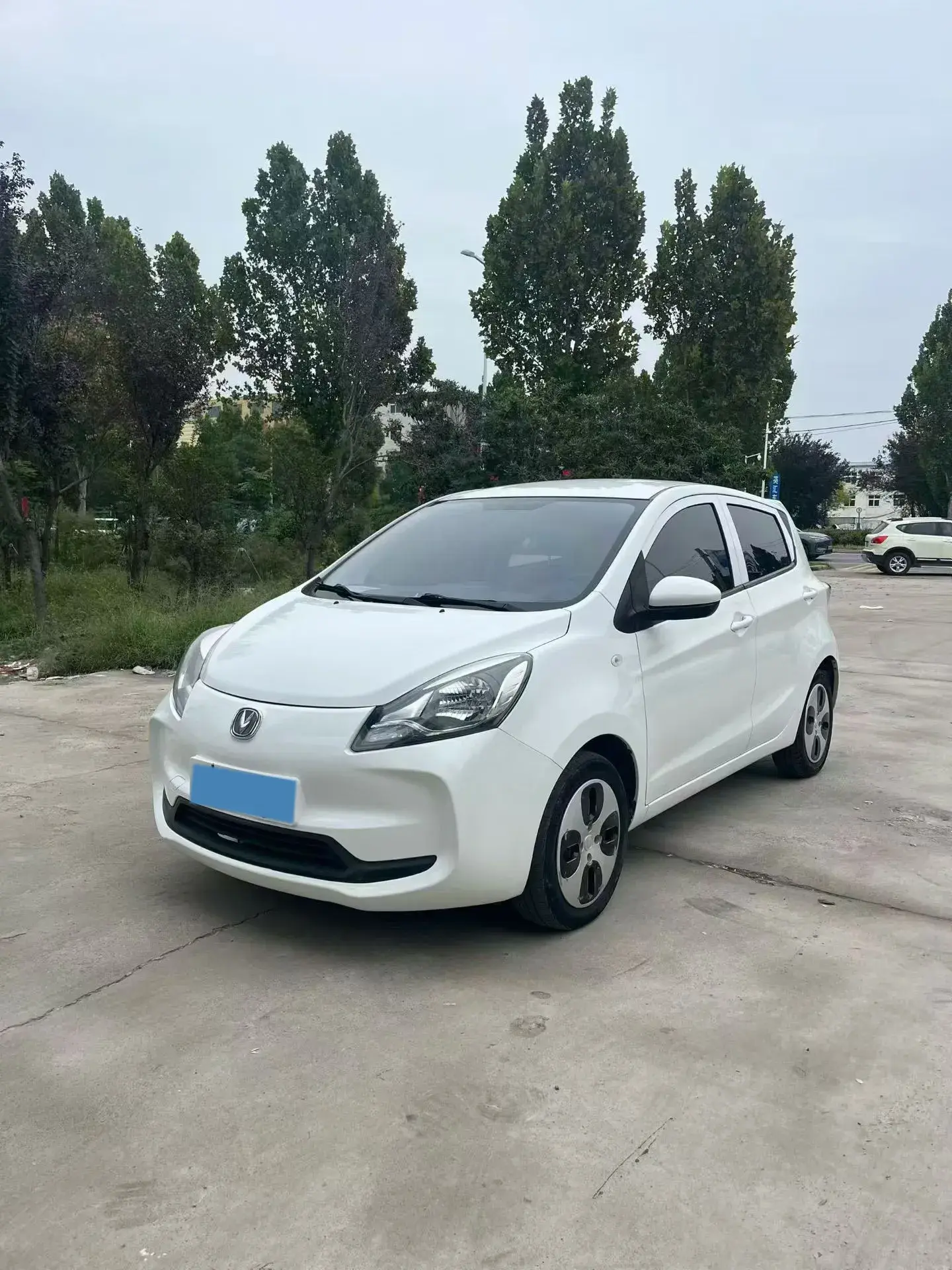 2020 CHANGAN BENBEN view 1