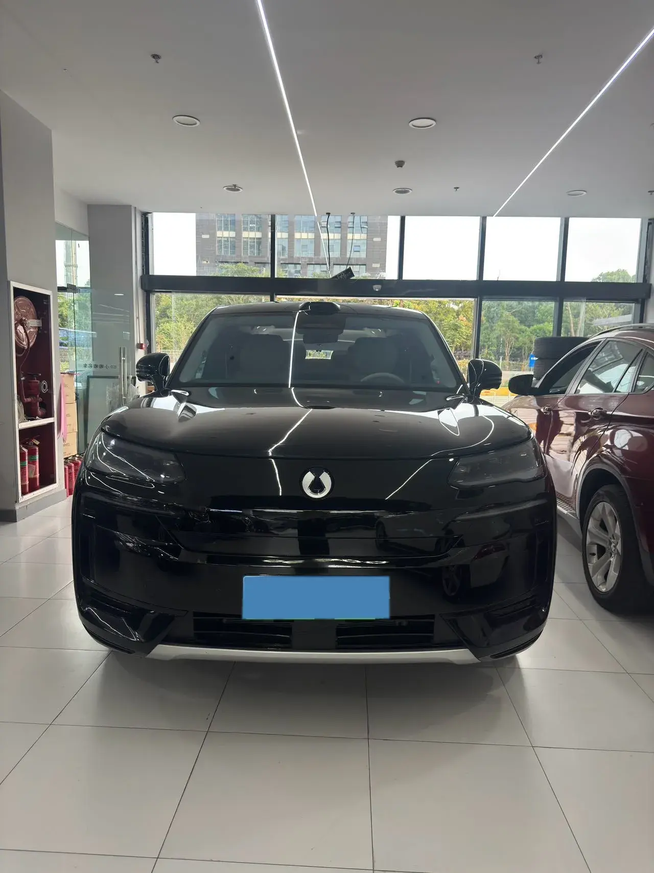 2025 DENZA DENZAN9 thumbnail 2