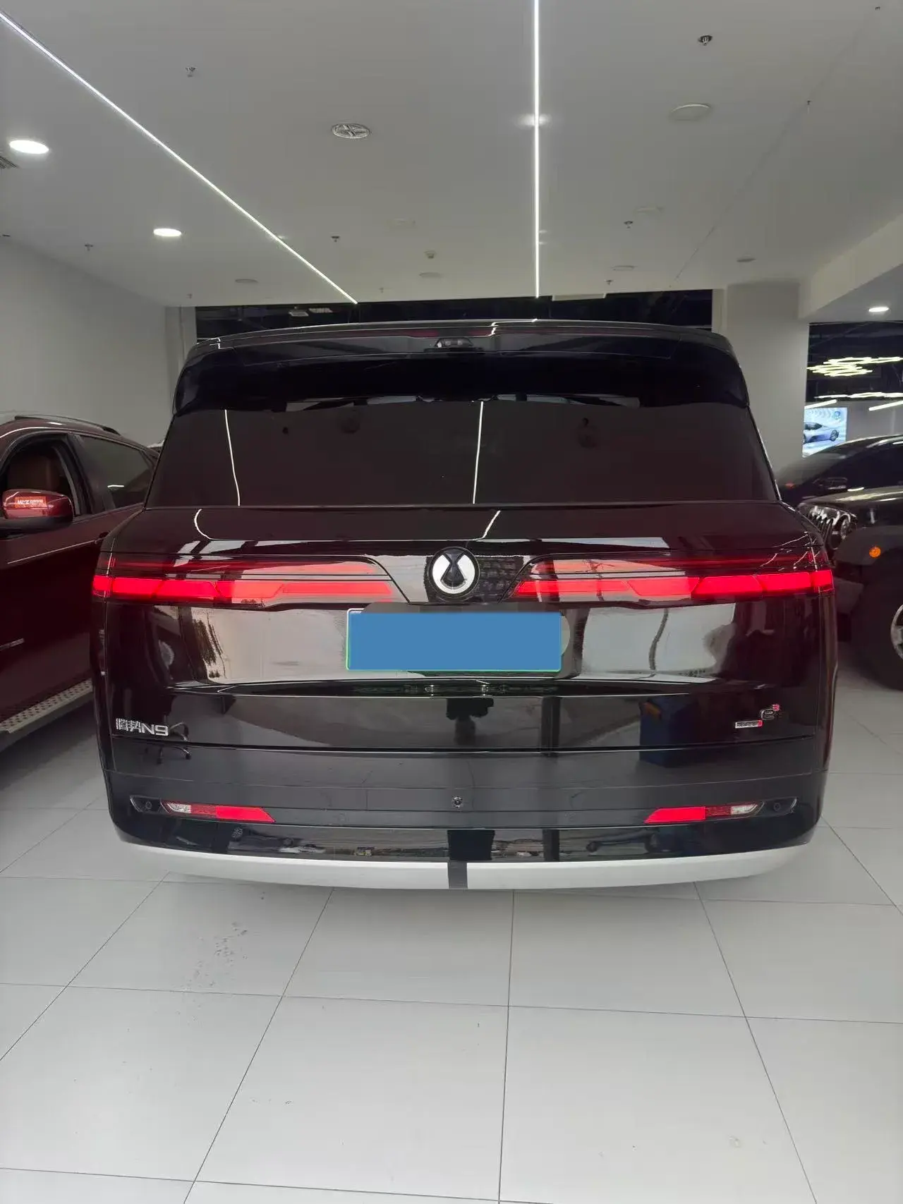 2025 DENZA DENZAN9 thumbnail 4