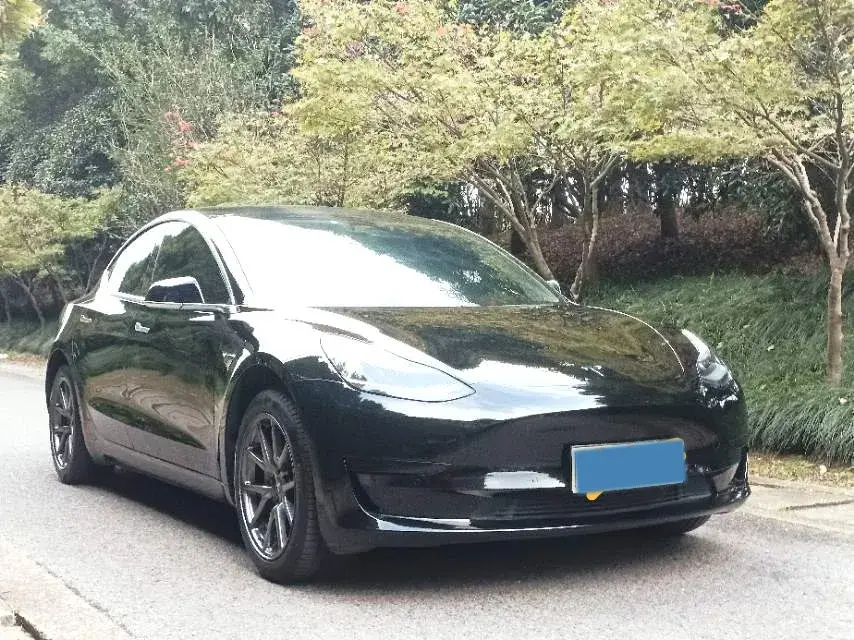 2020 TESLA MODEL thumbnail 2