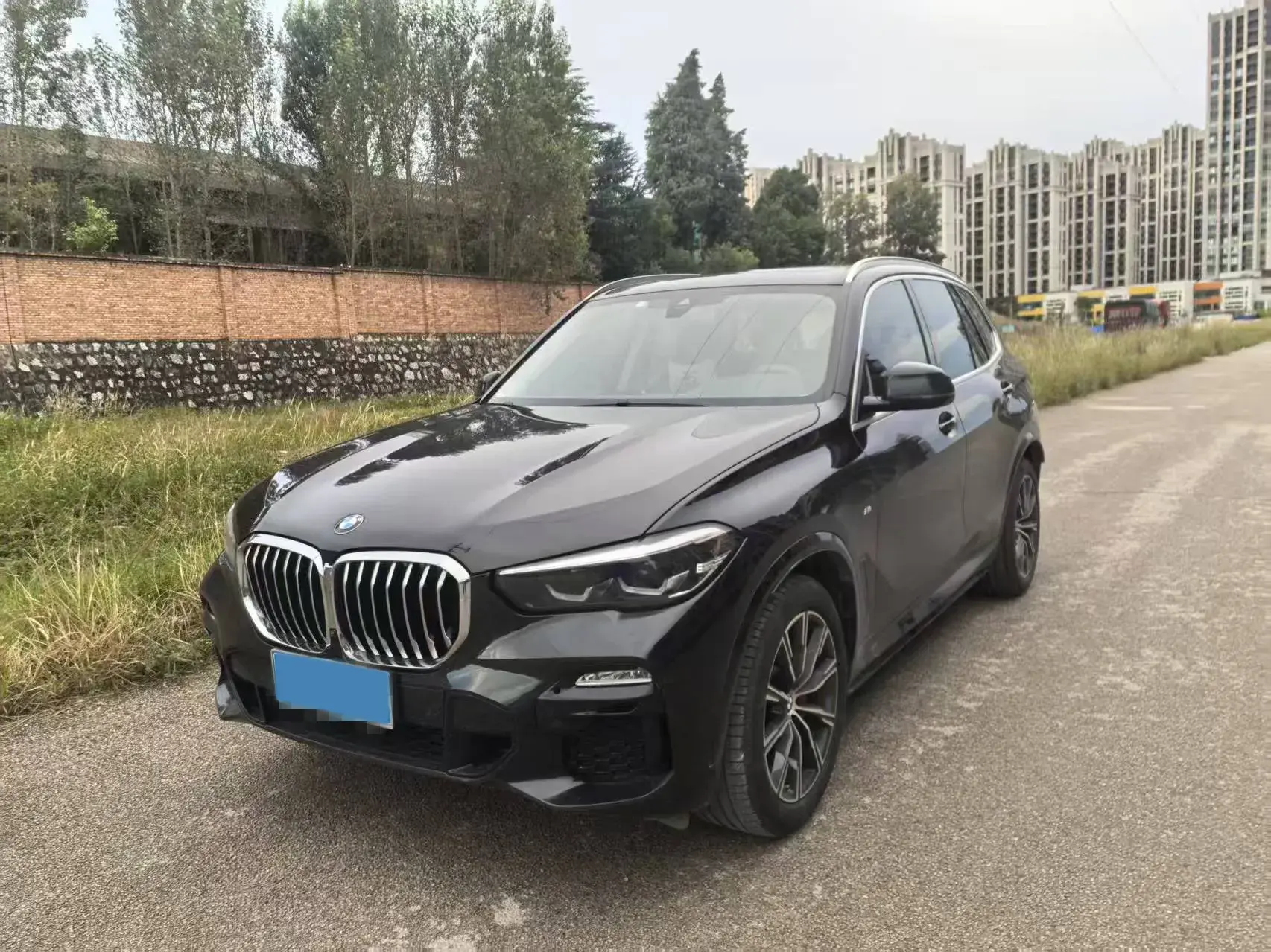 2020 BMW X5 view 1