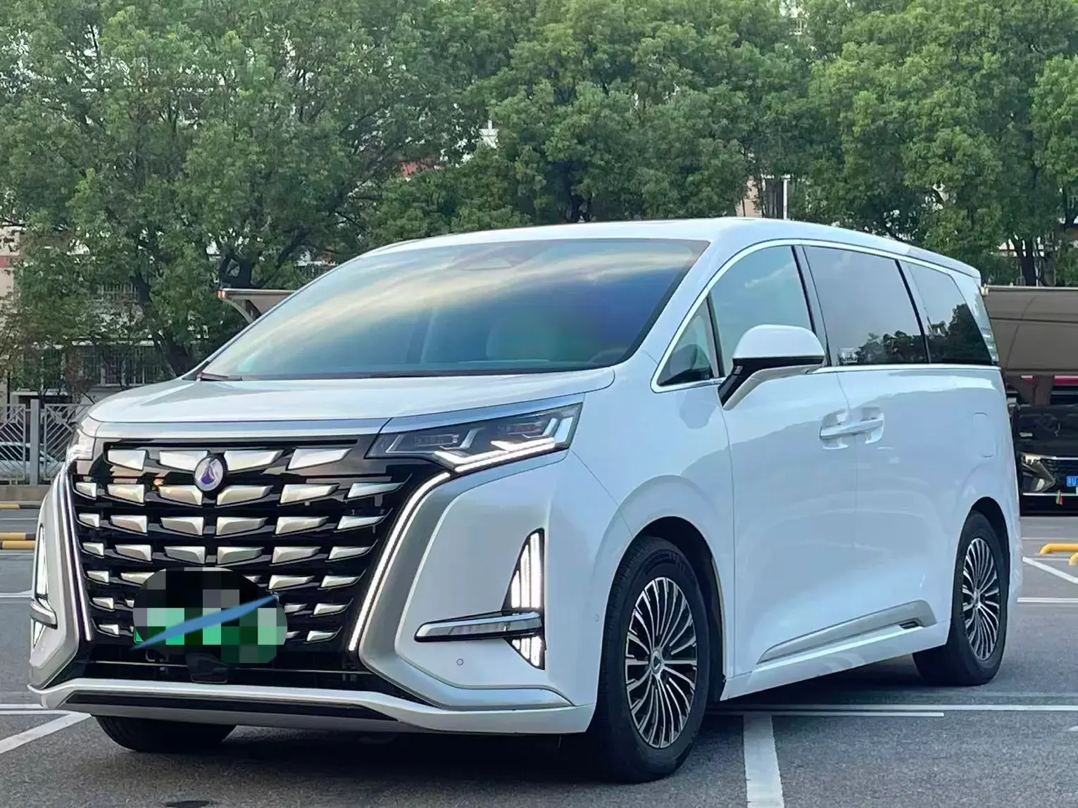 2022 DENZA D9 view 1