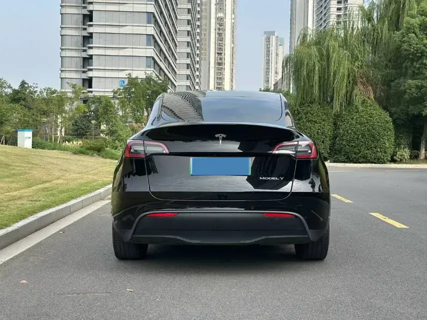 2022 TESLA MODEL thumbnail 3