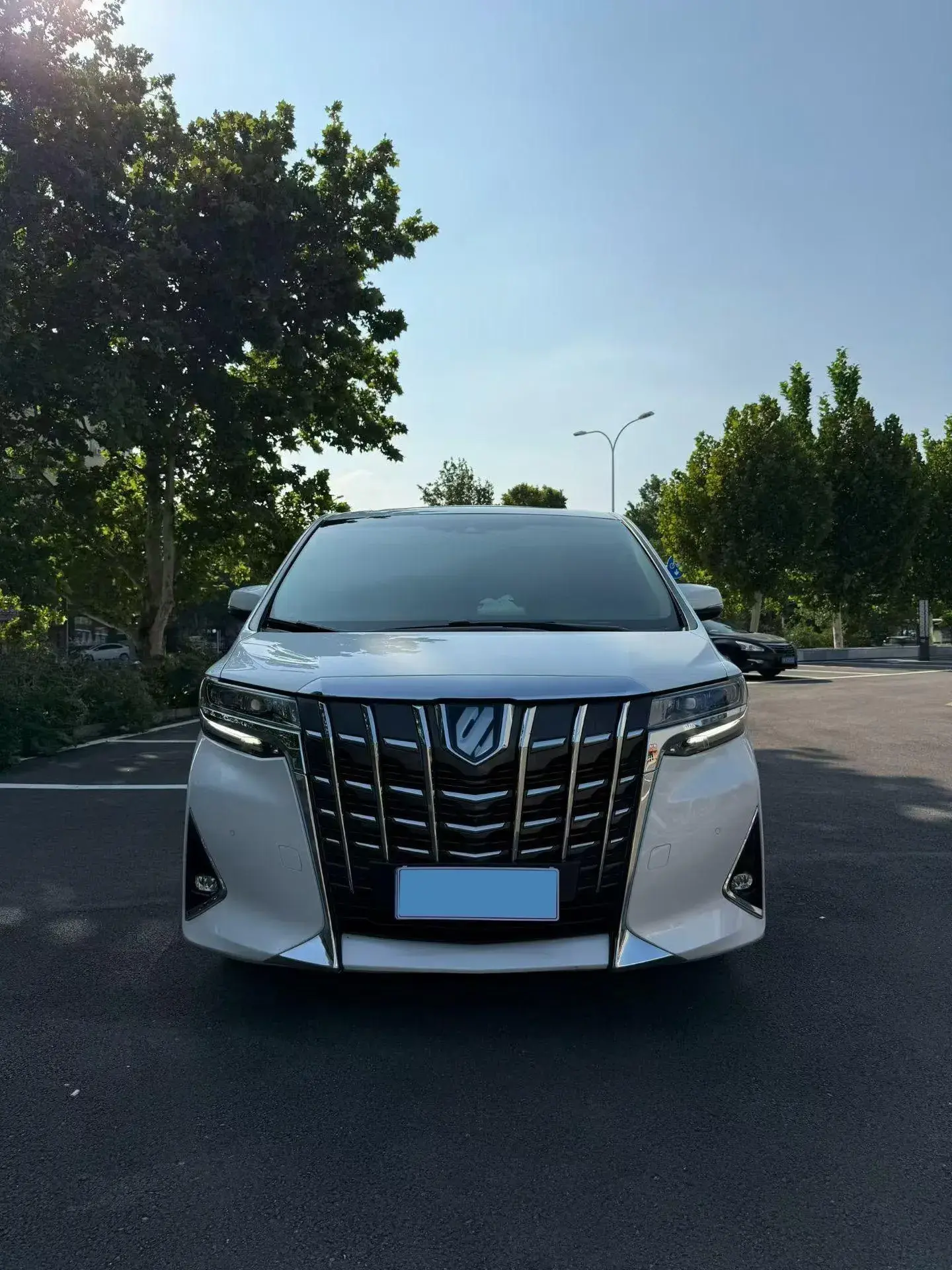 2021 TOYOTA ALPHARD thumbnail 3