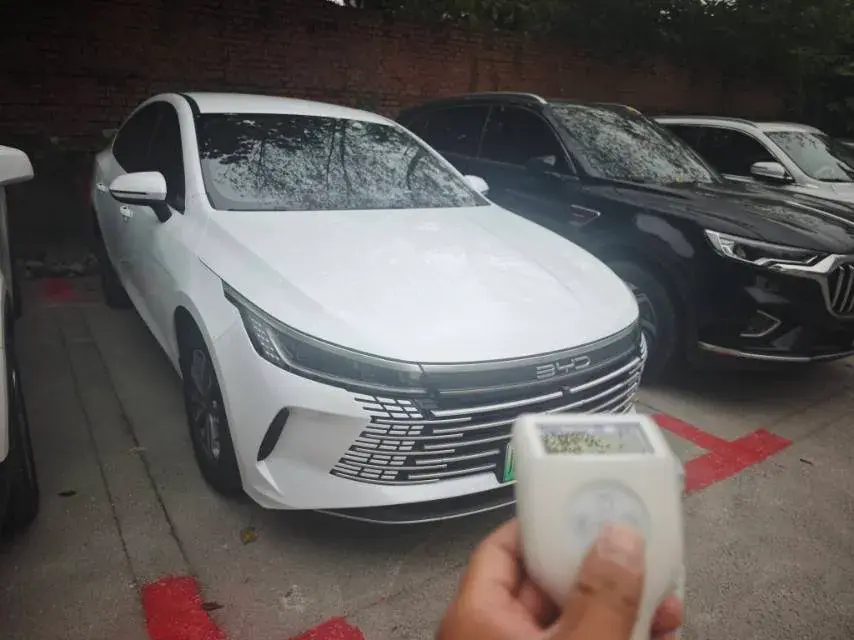 2024 BYD DESTROYER thumbnail 3