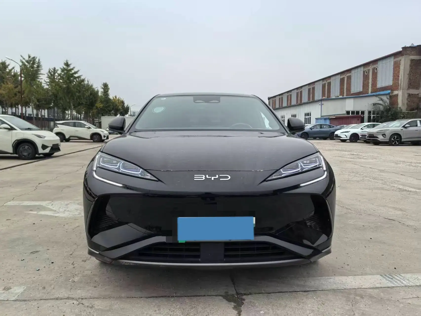 2024 BYD SEA thumbnail 2