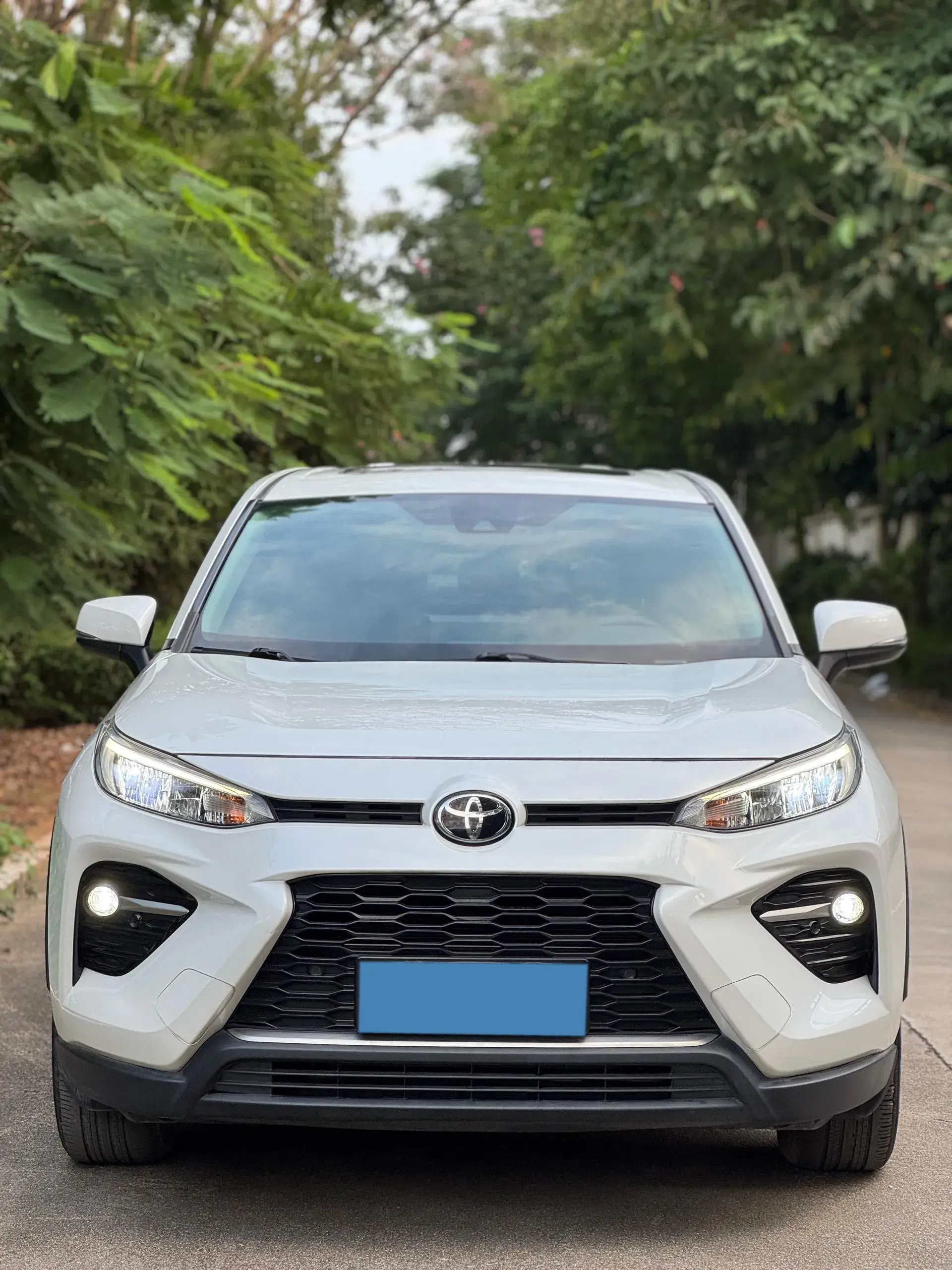 2020 TOYOTA WILDLANDER thumbnail 2