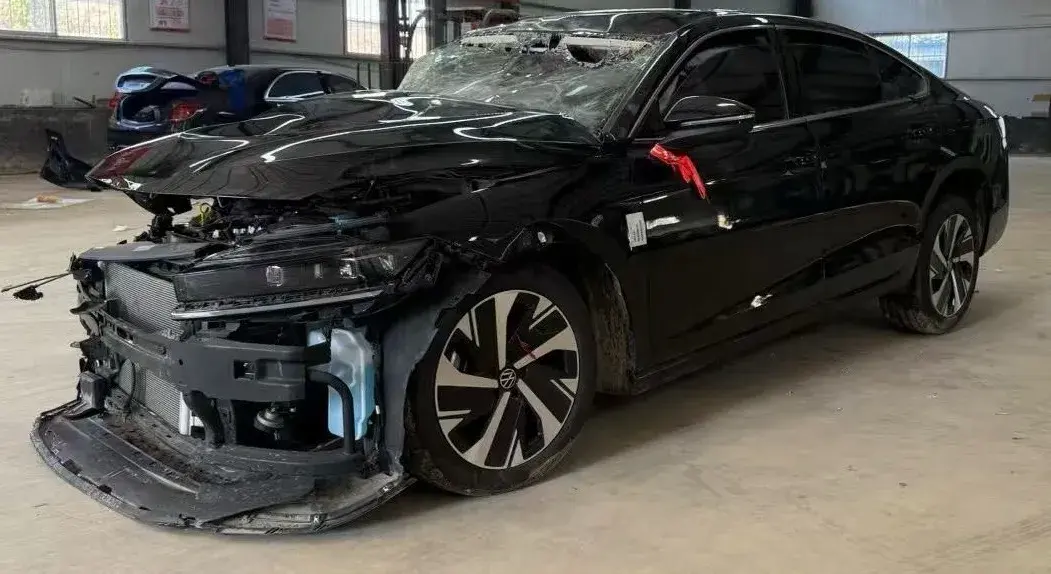 2024 VOLKSWAGEN MAGOTAN view 1