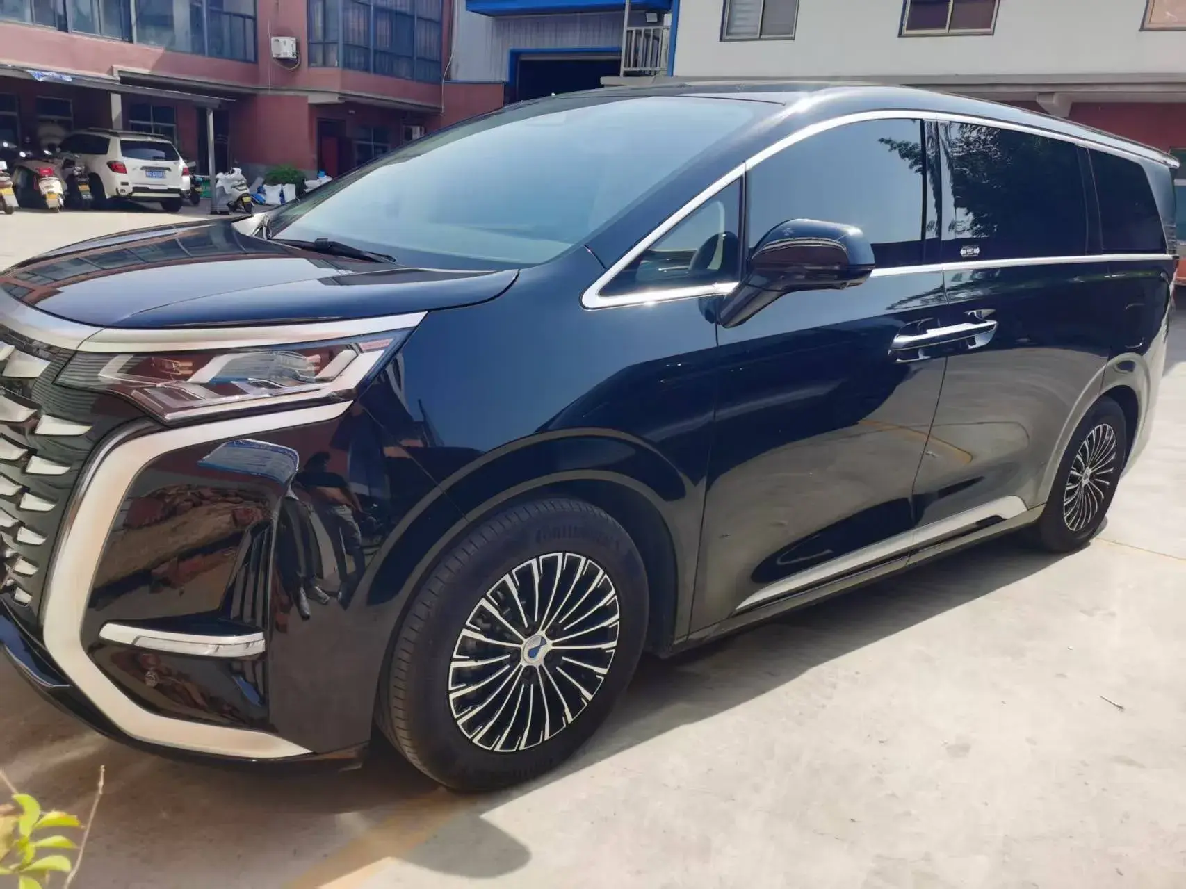 2024 DENZA D9 thumbnail 2