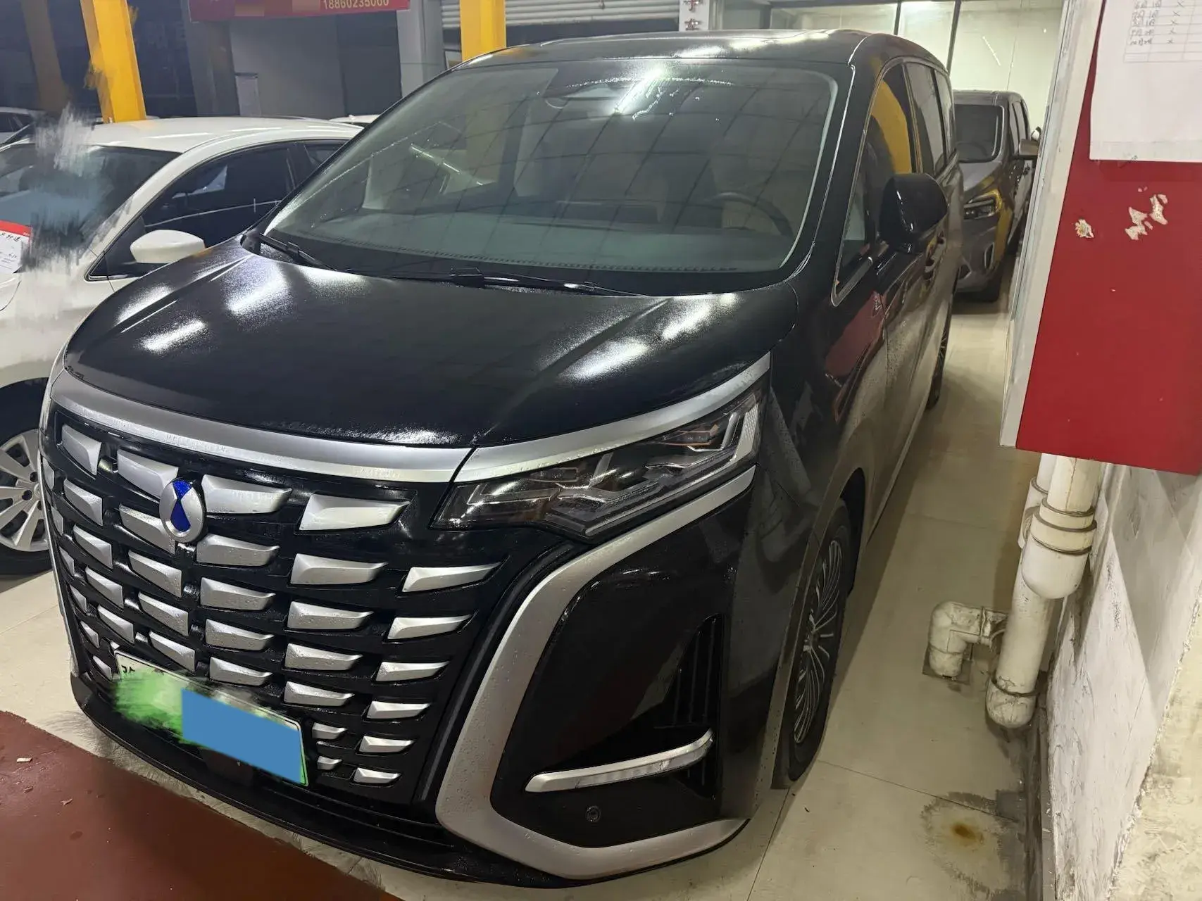 2024 DENZA D9 view 1