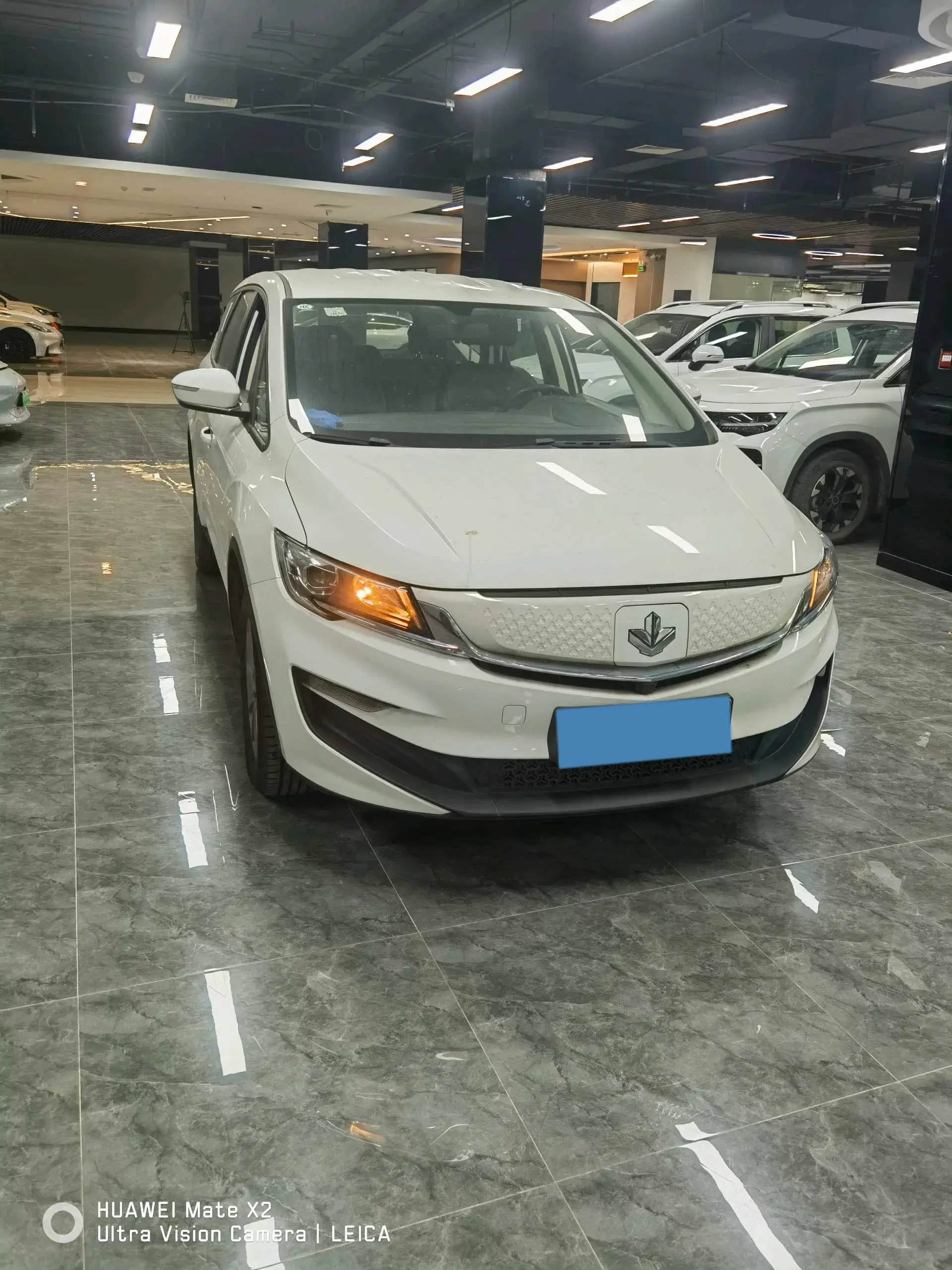 2021 LIVAN MAPLE thumbnail 3