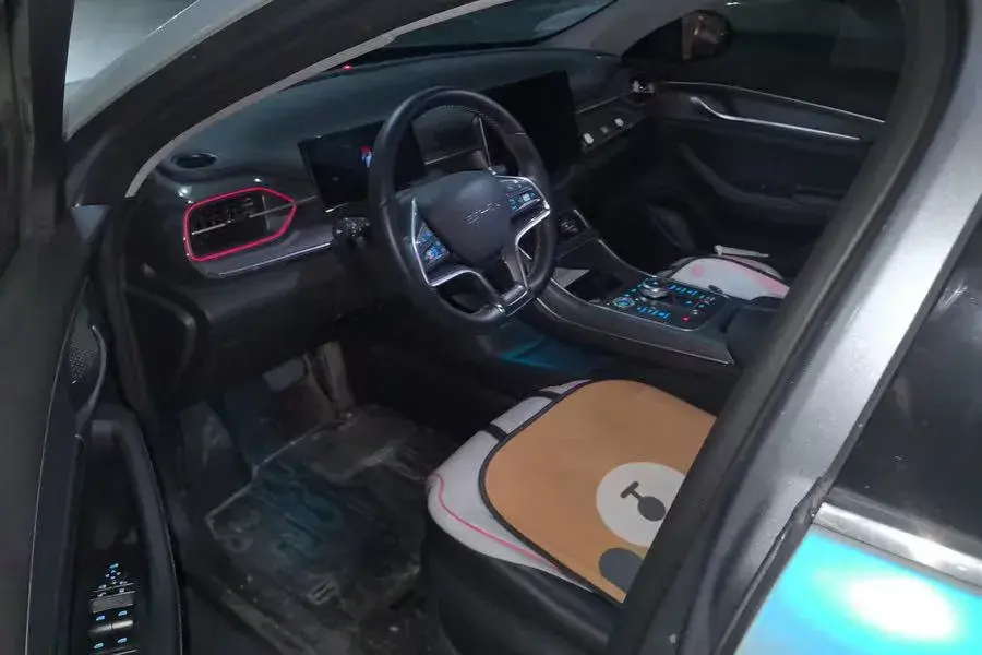 2022 BYD DESTROYER thumbnail 2