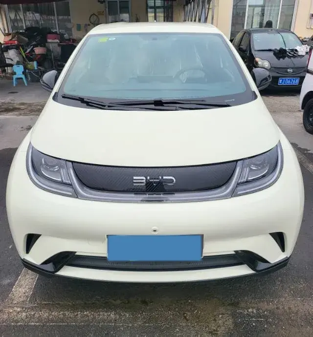 2025 BYD DOLPHIN thumbnail 2