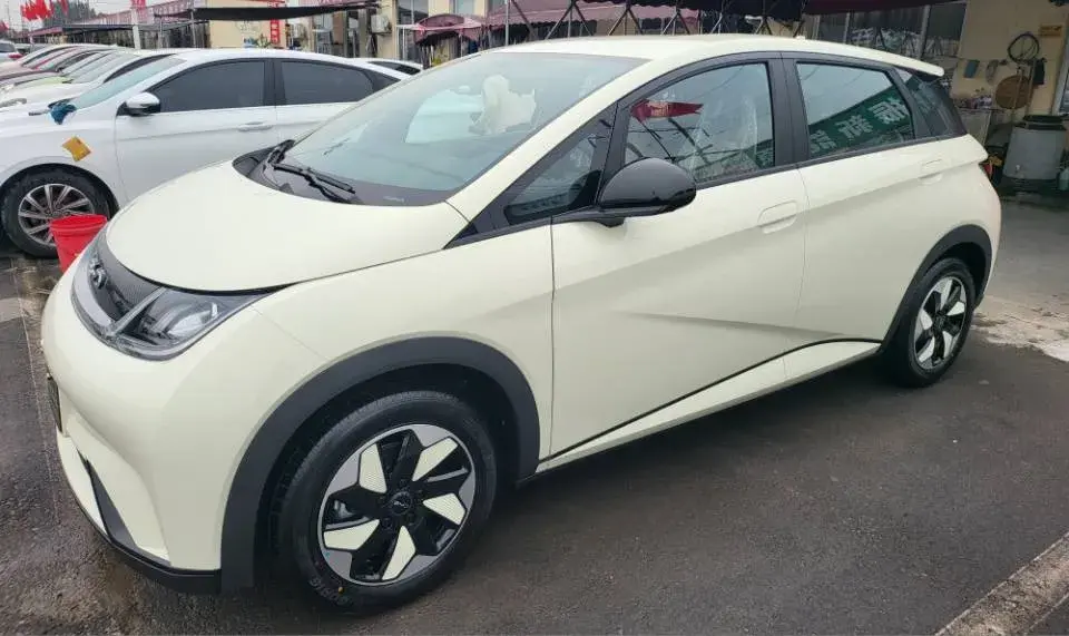 2025 BYD DOLPHIN thumbnail 4