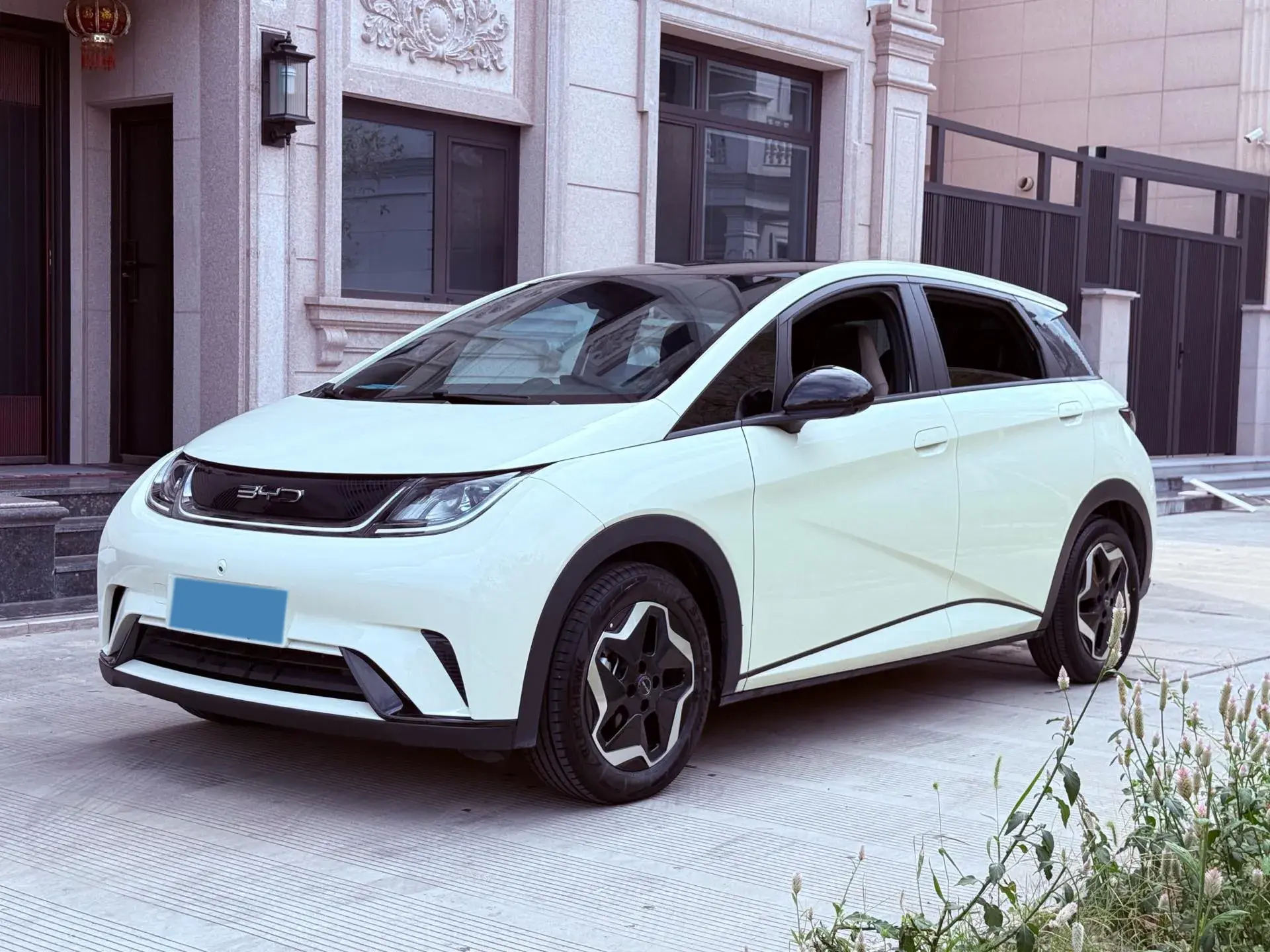 2021 BYD DOLPHIN view 1