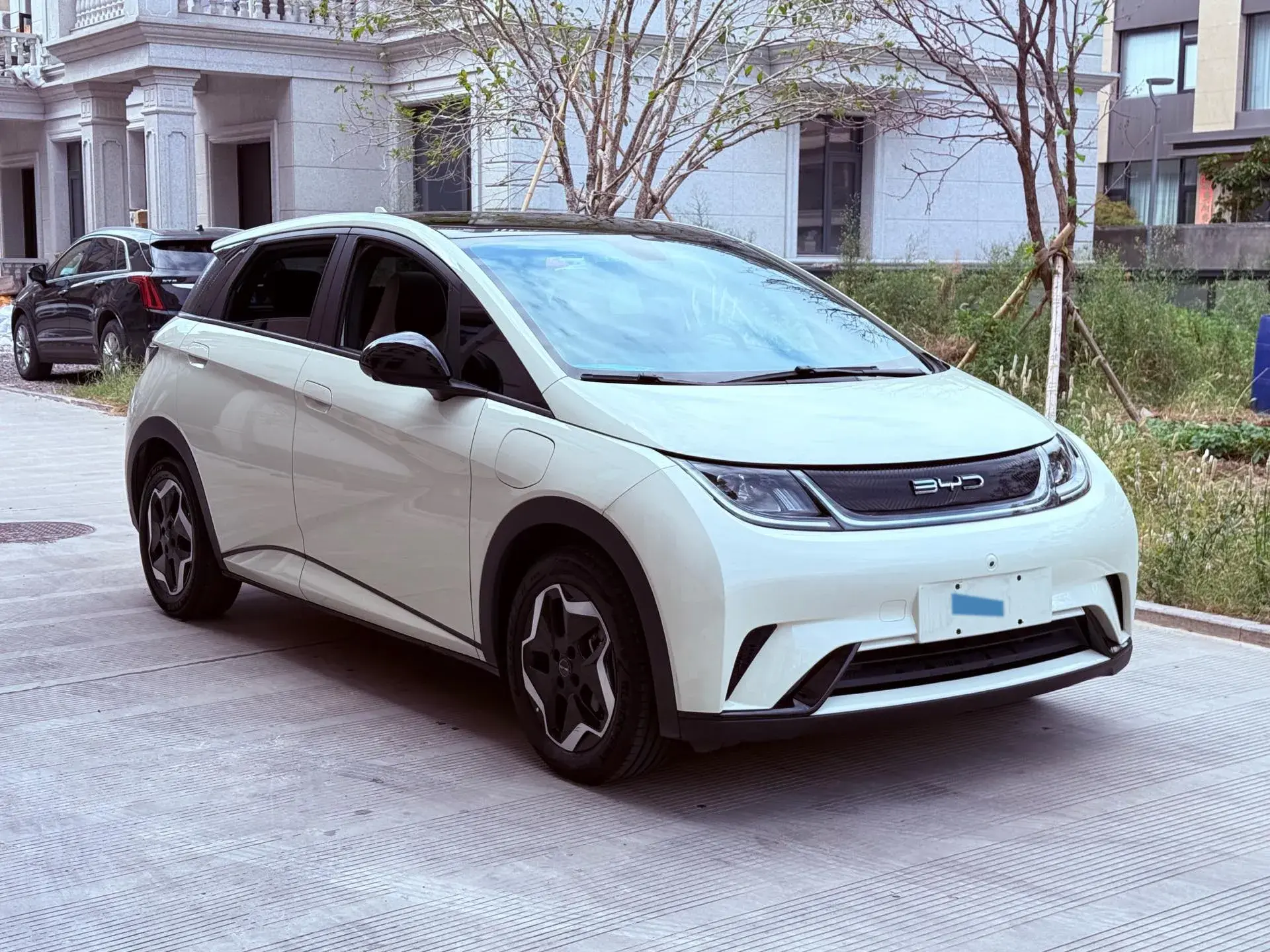 2021 BYD DOLPHIN thumbnail 3