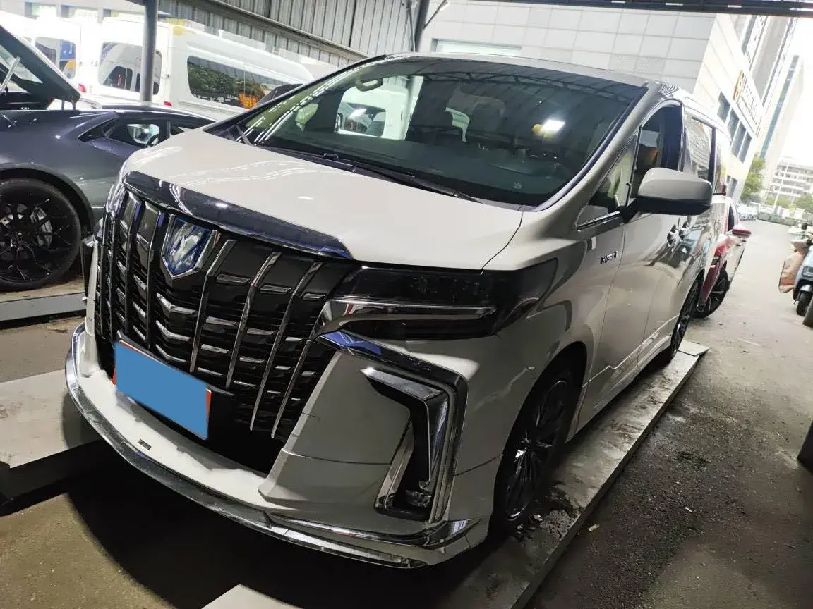 2020 TOYOTA ALPHARD view 1