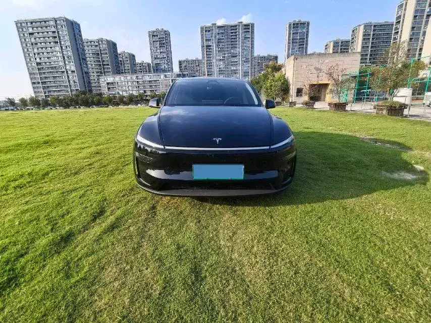 2025 TESLA MODEL thumbnail 2